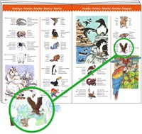 Djeco PUZZLES - PUZZLES OBSERVATION Animaux du monde 100pcs  +livret - FSC MIX