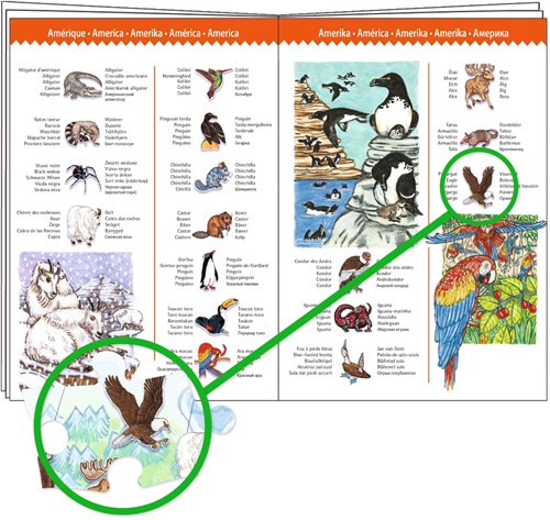 Djeco PUZZLES - PUZZLES OBSERVATION Animaux du monde 100pcs  +livret - FSC MIX