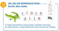 Djeco JEUX  EDUCATIFS - JEUX EDUCATIFS Mon Grand Coffret des lettres - FSC MIX