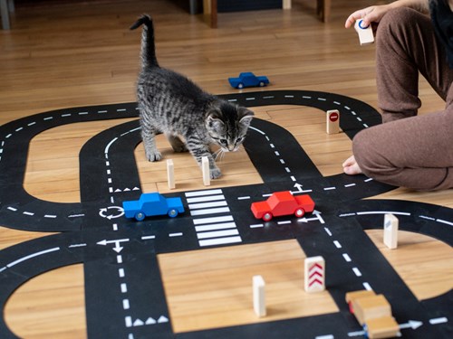 Waytoplay flexibele autobaan King of the Road - 40 delen + 2 auto's - binnen en buiten spelen-2