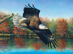 SunsOut puzzel Abraham Hunter - Wetlands Eagle - 1000 stukjes
