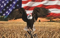 SunsOut puzzle Amber Waves of Grain - puzzle 1000 pièces