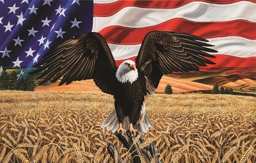 SunsOut puzzle Amber Waves of Grain - puzzle 1000 pièces