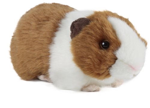 Living Nature peluche Cochon d'Inde marron avec son