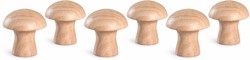 Grapat 6 Paddenstoelen (Deelbare Verpakking)