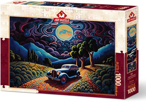 Art Puzzle puzzel A Night in Transylvania - 1000 stukjes puzzel-2