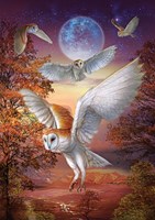 Art Puzzle puzzle Moonlight Owls - 1000 pièces carton