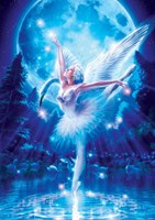 Art Puzzle puzzel Swan Lake Ballet - 1000 stukjes kunstpuzzel
