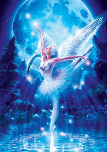Art Puzzle puzzel Swan Lake Ballet - 1000 stukjes kunstpuzzel
