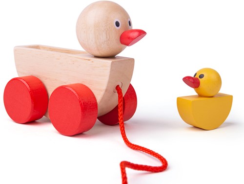 Bigjigs Canard et Caneton