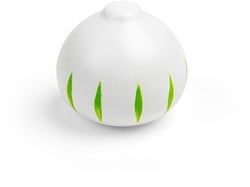 Bigjigs Speelgoed Groente Ui