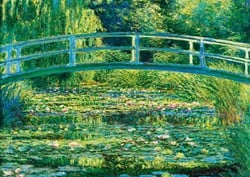 Bluebird puzzel Claude Monet - The Water-Lily Pond, 1899 - 1000 stukjes