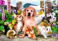 Bluebird Puzzle puzzle Good Companions - 204 pièces jouet coloré