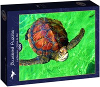 Bluebird Puzzle La Réunion - Tortue de Mer - 1000 Teile-2