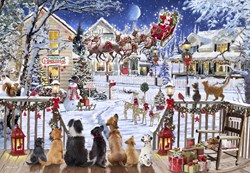 Bluebird Puzzle legpuzzel Pets on Porch - 1000 stukjes kleurrijk