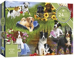 Gibsons Honden (24)