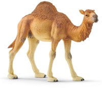 Schleich Safari - Dromadaire 14832