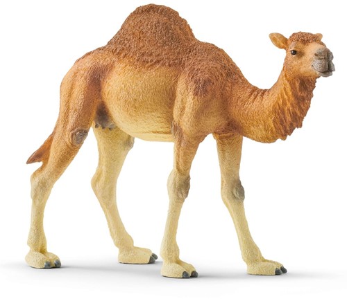 Schleich Safari - Dromadaire 14832