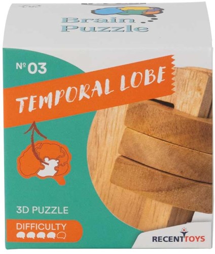 Recent Toys breinbreker houten denkspel BRAIN PUZZLE 3 puzzelspel