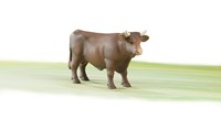 Bruder taureau figurine de jeu jouet ferme plastique-2