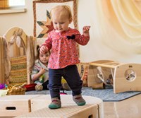 ToddleBox large curve-3