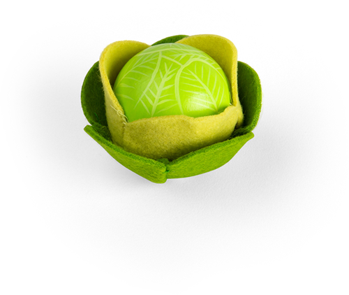 BigJigs jouets set de légumes chou en bois - jouet éducatif
