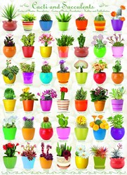 Eurographics puzzel Cacti & Succulents - 1000 stukjes