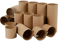 Creativ Company karton rollen knutselmateriaal 60 stuks multi kleuren
