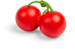 Bigjigs Speelgoed Fruit Kersen