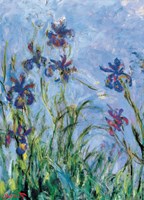 Eurographics puzzle Iris - Claude Monet - puzzle d'art 1000 pièces