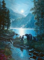 Cobble Hill puzzle Bear Night - puzzle 1000 pièces adultes