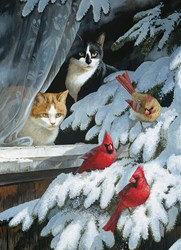 Cobble Hill legpuzzel Bird Watchers 1000 stukjes puzzelplezier