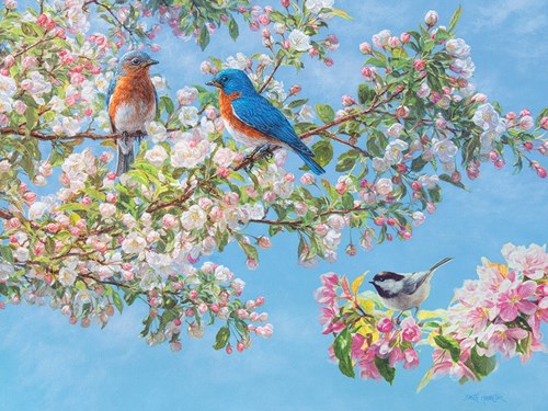 Cobble Hill Blossom Festival -  Teile