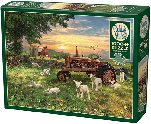 Cobble Hill puzzle Field at Sunrise - 1000 pièces paysage coloré-2