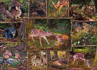 Cobble Hill puzzle Into the Woods - Puzzle familial - 350 pièces