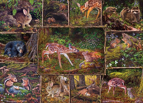 Cobble Hill puzzle Into the Woods - Puzzle familial - 350 pièces