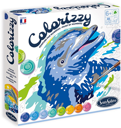 Sentosphère schilderen op nummer dolfijn set voor kinderen acrylverf