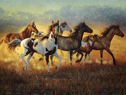 SunsOut puzzle Cynthia Fisher - Running with the Wind - 500 pièces paysage