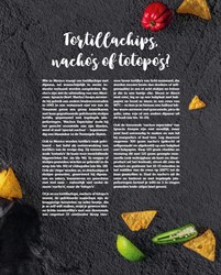 Deltas livre de recettes mexicaines - Cuisine mexicaine authentique livre