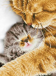 Diamond Dotz diamond painting - Tender Moment avec cadre - kit créatif