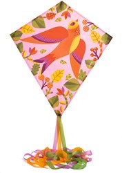 Djeco jouet cerf-volant Birdy - cerf-volant coloré pour enfants