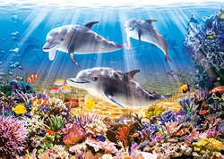 Castorland puzzle monde animal dauphins - 500 pièces