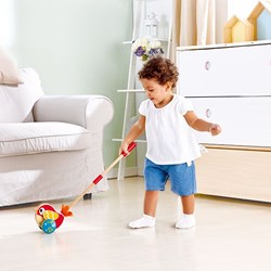 Hape jouet à pousser oiseau Lilly chariot en bois musical