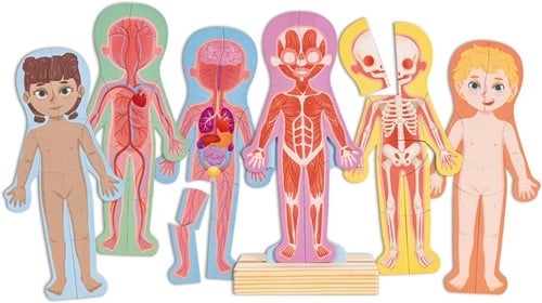 Hape Menselijk Lichaam Magnetische Puzzel