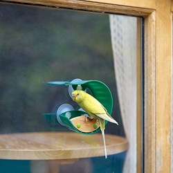 Hape mangeoire à oiseaux jouet éducatif multicolore carton fenêtre