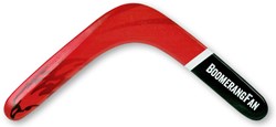 Boomerang Fan boemerang EAGLE hout rechts 32cm 10m bereik speelgoed