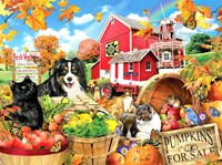 SunsOut legpuzzel boerderijvrienden 1000 stukjes puzzel plezier