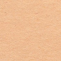 Folia papier cartonné photo loisirs créatifs 50x70cm - 300g - Chamois - 10 feuilles