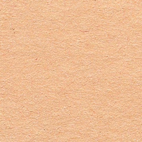 Folia papier cartonné photo loisirs créatifs 50x70cm - 300g - Chamois - 10 feuilles