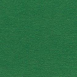 Folia fotokarton knutselpapier dennengroen 10 vellen 50x70 cm 300g